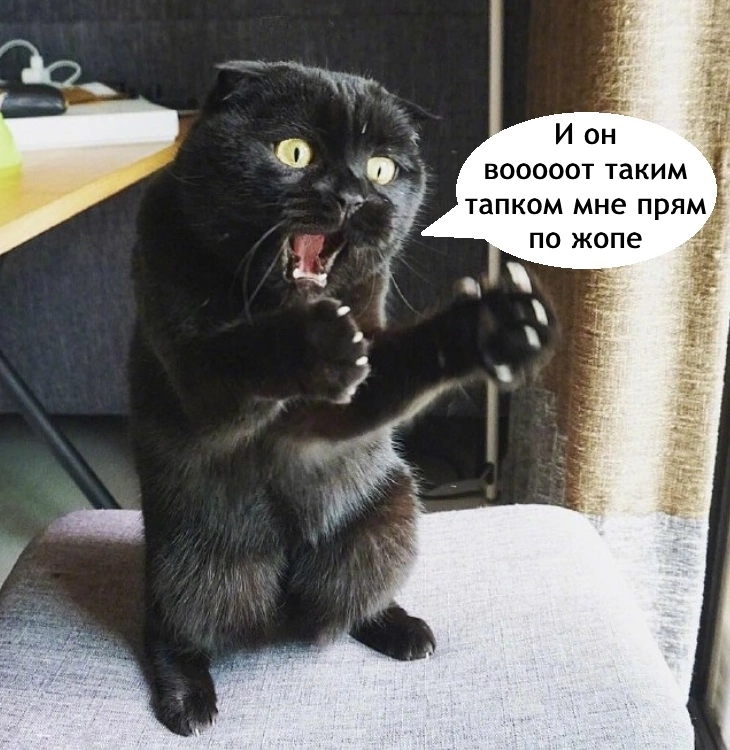 u4967d.webp